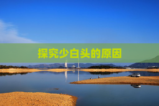 探究少白头的原因