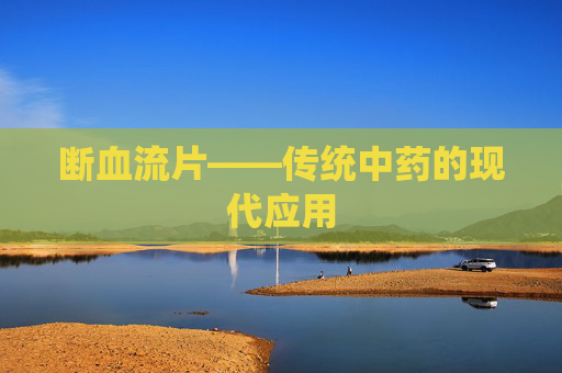 断血流片——传统中药的现代应用