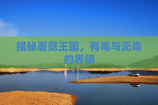 揭秘蘑菇王国，有毒与无毒的界限