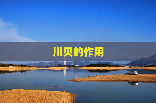 川贝的作用 川贝的作用