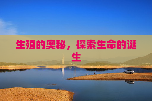 生殖的奥秘，探索生命的诞生