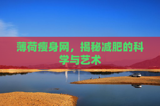 薄荷瘦身网，揭秘减肥的科学与艺术