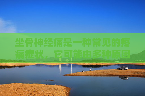 坐骨神经痛是一种常见的疼痛症状，它可能由多种原因引起，包括肌肉紧张、椎间盘突出、脊柱关节炎等。当坐骨神经受到压迫或损伤时，患者可能会经历剧烈的疼痛，这种疼痛通常沿着臀部、大腿后侧和小腿外侧向下延伸