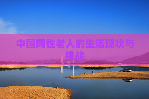 中国同性老人的生活现状与挑战