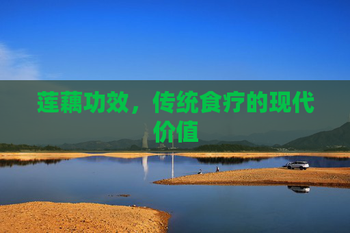 莲藕功效，传统食疗的现代价值