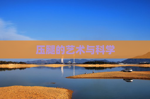压腿的艺术与科学