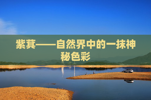 紫萁——自然界中的一抹神秘色彩