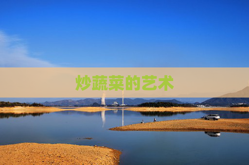 炒蔬菜的艺术