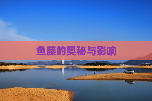 鱼藤的奥秘与影响