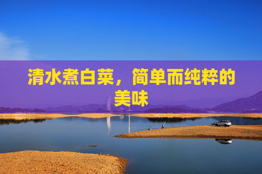 清水煮白菜，简单而纯粹的美味