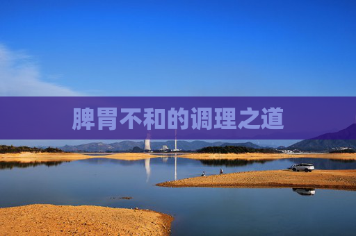 脾胃不和的调理之道