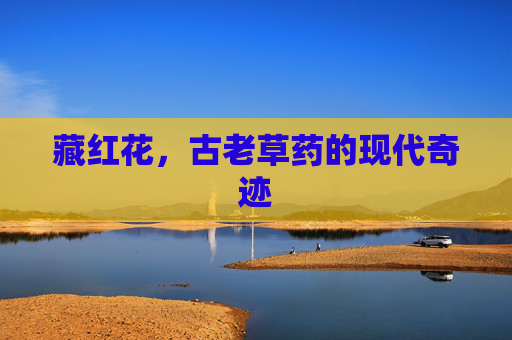 藏红花,古老草药的现代奇迹 藏红花,古老草药的现代奇迹