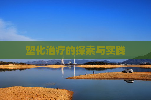 塑化治疗的探索与实践