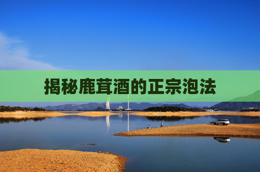 揭秘鹿茸酒的正宗泡法 揭秘鹿茸酒的正宗泡法
