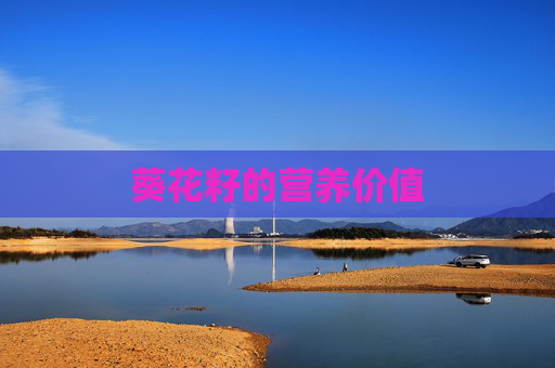 葵花籽的营养价值 葵花籽的营养价值