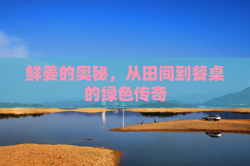 鲜姜的奥秘,从田间到餐桌的绿色传奇 鲜姜的奥秘,从田间到餐桌的绿色传奇