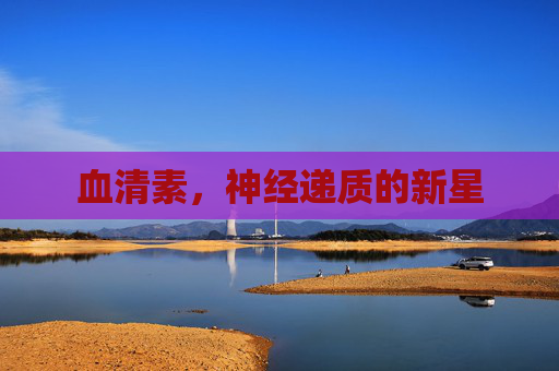 血清素，神经递质的新星