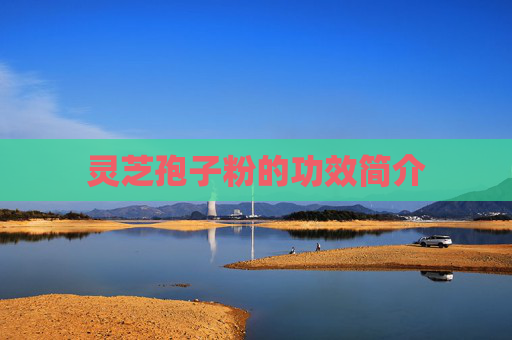 灵芝孢子粉的功效简介