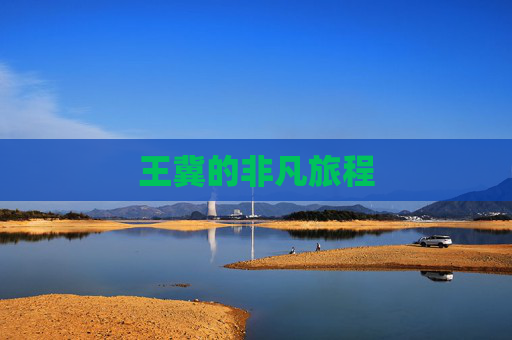 王冀的非凡旅程 王冀的非凡旅程