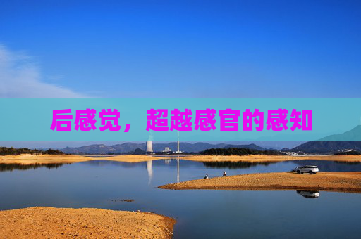 后感觉,超越感官的感知 后感觉,超越感官的感知