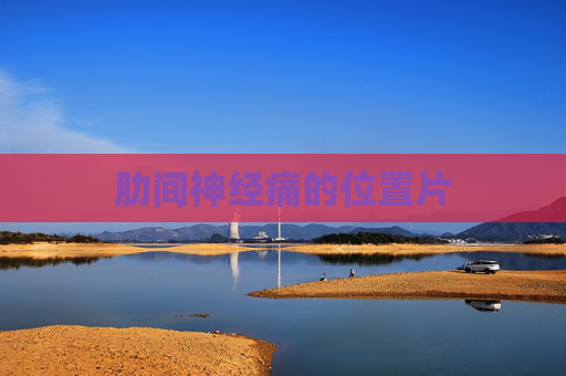 肋间神经痛的位置片 肋间神经痛的位置片