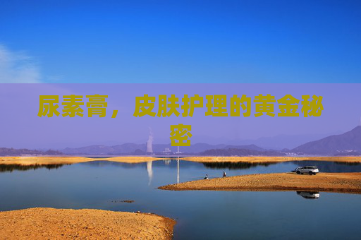 尿素膏,皮肤护理的黄金秘密 尿素膏,皮肤护理的黄金秘密
