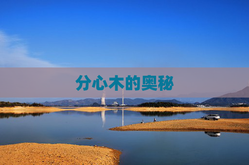 分心木的奥秘 分心木的奥秘