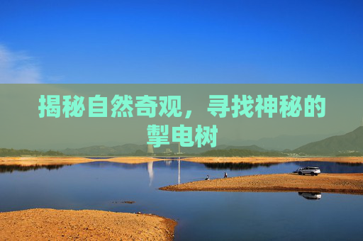 揭秘自然奇观，寻找神秘的掣电树