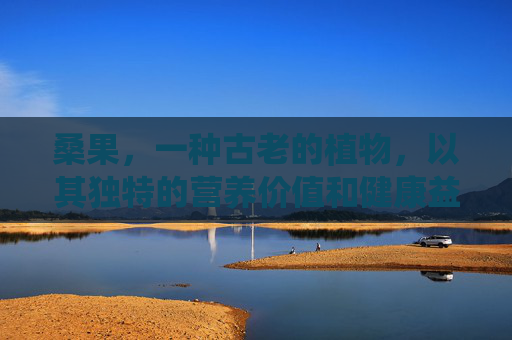 桑果，一种古老的植物，以其独特的营养价值和健康益处而闻名。在这篇文章中，我们将探讨桑果的功效，包括其对皮肤、眼睛、免疫系统、消化系统以及心血管系统的影响