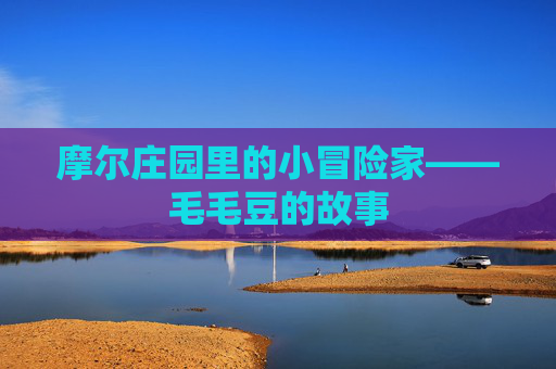摩尔庄园里的小冒险家——毛毛豆的故事