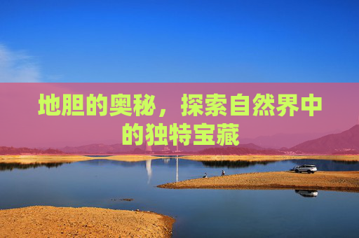 地胆的奥秘，探索自然界中的独特宝藏