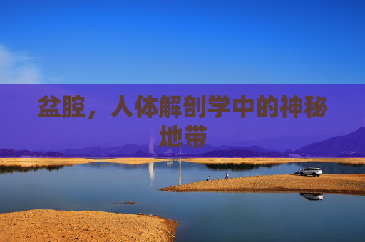 盆腔，人体解剖学中的神秘地带
