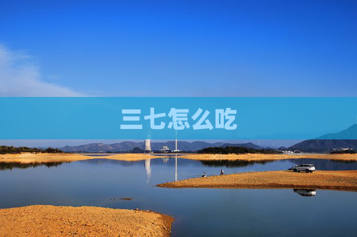 三七怎么吃