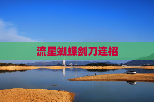 流星蝴蝶剑刀连招