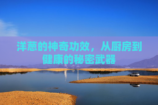 洋葱的神奇功效，从厨房到健康的秘密武器