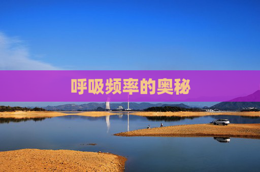 呼吸频率的奥秘