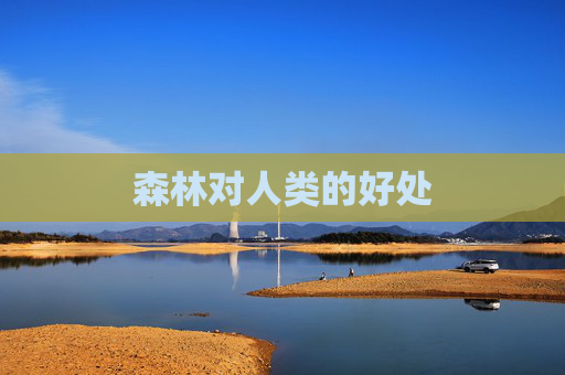 森林对人类的好处