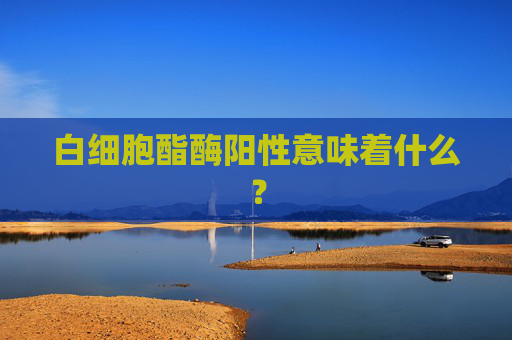 白细胞酯酶阳性意味着什么? 白细胞酯酶阳性意味着什么?