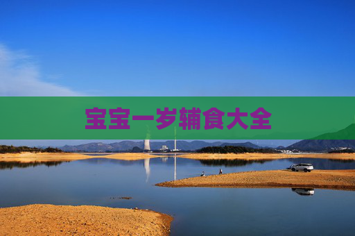 宝宝一岁辅食大全