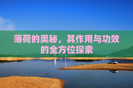 薄荷的奥秘,其作用与功效的全方位探索 薄荷的奥秘,其作用与功效的全方位探索