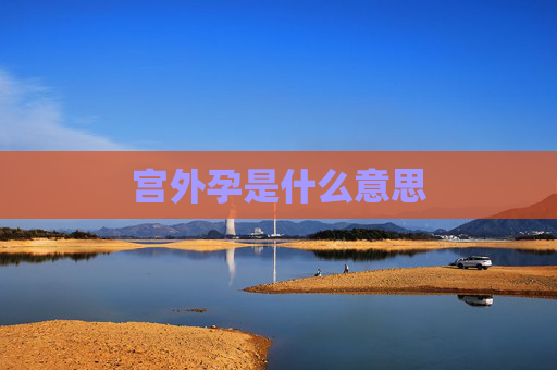 宫外孕是什么意思