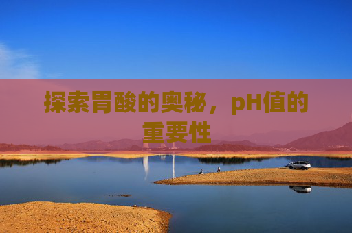 探索胃酸的奥秘，pH值的重要性