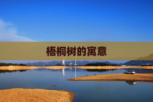 梧桐树的寓意