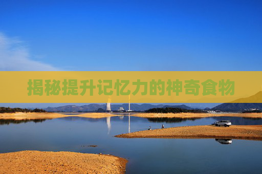 揭秘提升记忆力的神奇食物