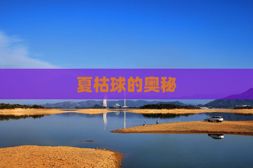夏枯球的奥秘
