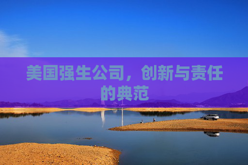 美国强生公司，创新与责任的典范