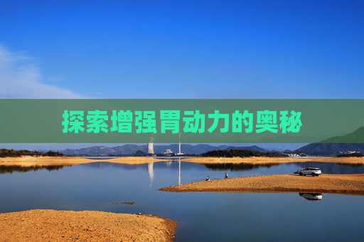 探索增强胃动力的奥秘