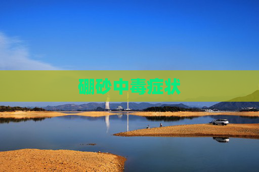硼砂中毒症状