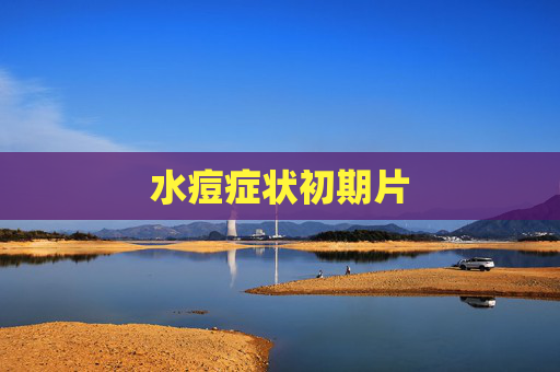水痘症状初期片