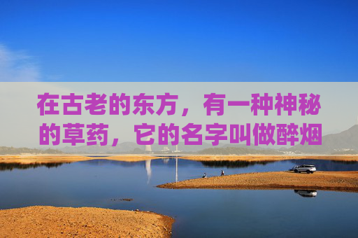 在古老的东方，有一种神秘的草药，它的名字叫做醉烟。这种草药生长在深山之中，被人们称为仙草，因为它能够让人忘却尘世的烦恼，进入一种梦幻般的境界